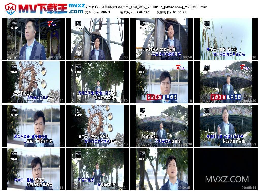 刘信明-为你赌生命_台语_流行_YE500137